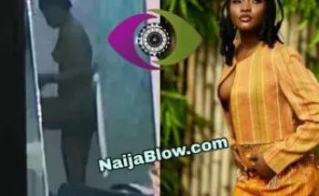 BBNaija leak nude Ilebaye nude Video