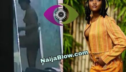 BBNaija leak nude Ilebaye nude Video